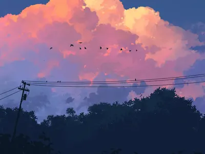 Cover Image of the Post
